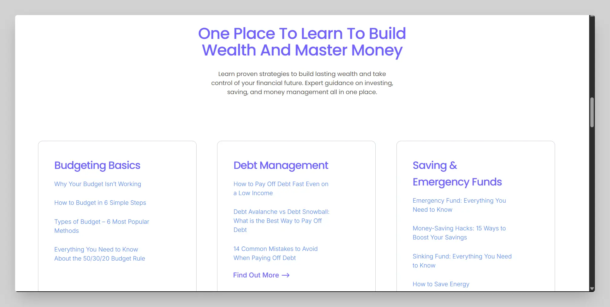 WordPress Developer at The Wealthy Post